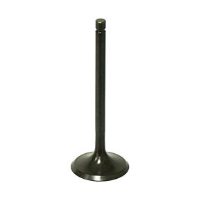 BRONCO Intake Valve