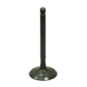 BRONCO Intake Valve