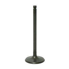 BRONCO Intake Valve
