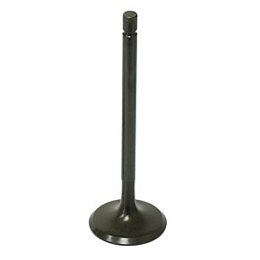 BRONCO Intake Valve