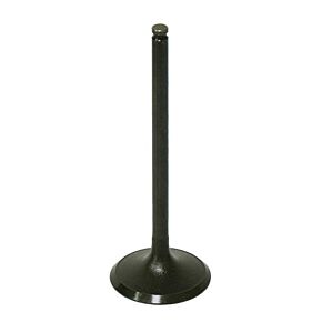 BRONCO Intake Valve