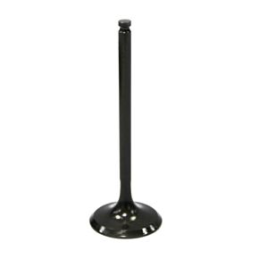 BRONCO Intake Valve