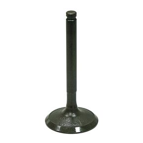 BRONCO Intake Valve