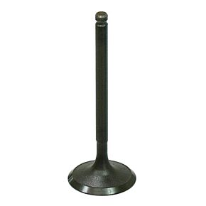 BRONCO Intake Valve
