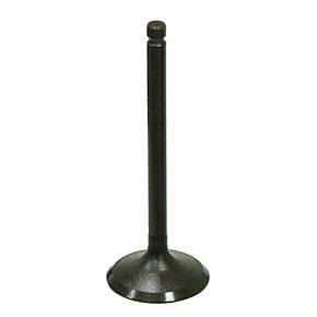 BRONCO Intake Valve