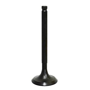 BRONCO Intake Valve