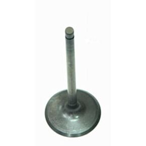 BRONCO Intake Valve