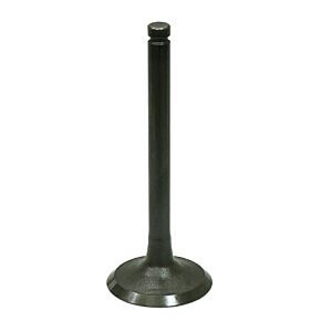 BRONCO Intake Valve