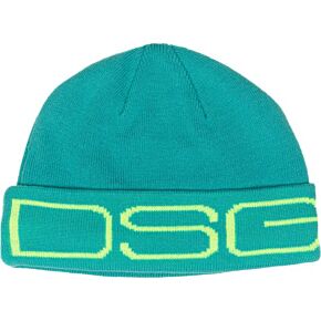 DSG Logo Beanie Mint