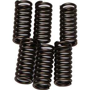 EBC Clutch Springs Csk102