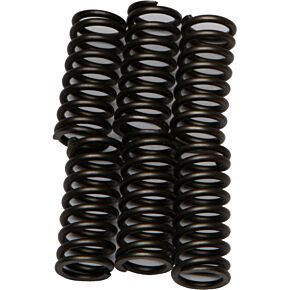 EBC Clutch Springs Csk103