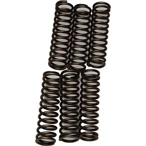 EBC Clutch Springs Csk109