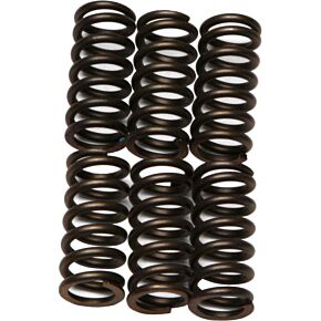 EBC Clutch Springs Csk11