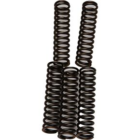 EBC Clutch Springs Csk110