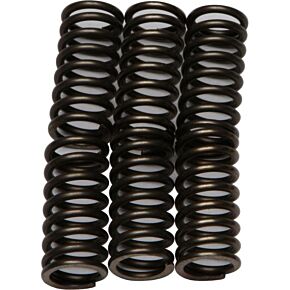 EBC Clutch Springs Csk111