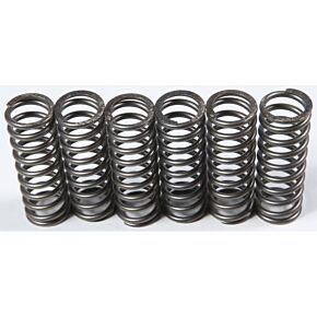 EBC Clutch Springs Csk119