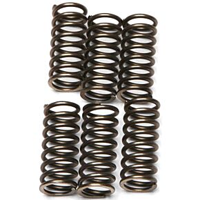 EBC Clutch Springs Csk120
