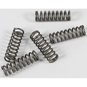 EBC Clutch Springs Csk124