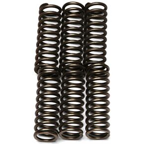 EBC Clutch Springs Csk125