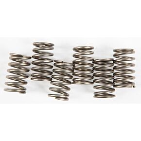 EBC Clutch Springs Csk129