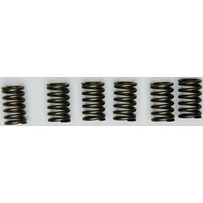 EBC Clutch Springs Csk131