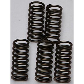 EBC Clutch Springs Csk132