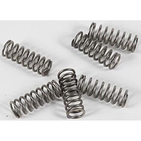 EBC Clutch Springs Csk133