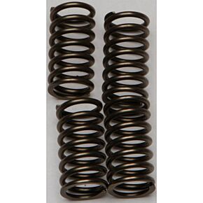 EBC Clutch Springs Csk134