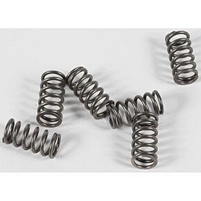 EBC Clutch Springs Csk139