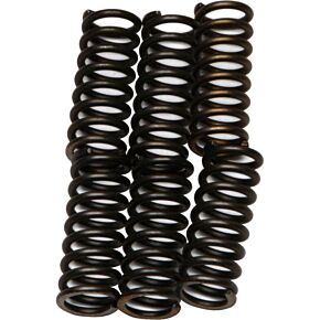 EBC Clutch Springs Csk14