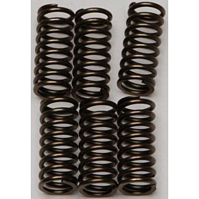 EBC Clutch Springs Csk144