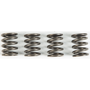 EBC Clutch Springs Csk147