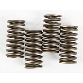 EBC Clutch Springs Csk150