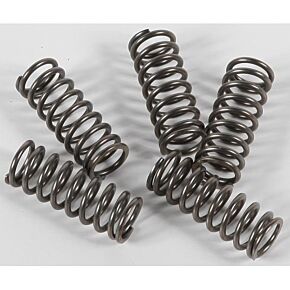 EBC Clutch Springs Csk156