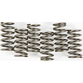 EBC Clutch Springs Csk158