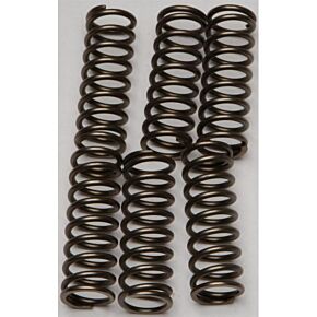 EBC Clutch Springs Csk160