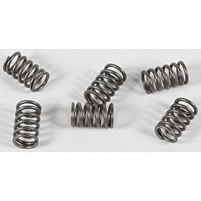 EBC Clutch Springs Csk161