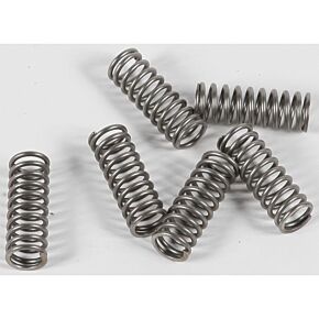 EBC Clutch Springs Csk164