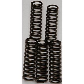 EBC Clutch Springs Csk169