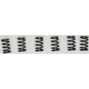 EBC Clutch Springs Csk171
