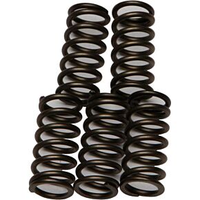EBC Clutch Springs Csk176