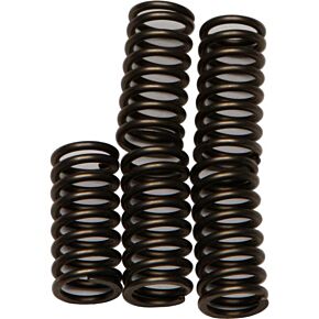 EBC Clutch Springs Csk179