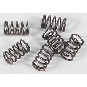 EBC Clutch Springs Csk18