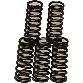 EBC Clutch Springs Csk180