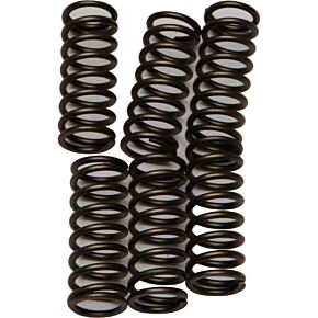 EBC Clutch Springs Csk184