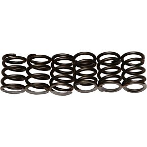 EBC Clutch Springs Csk19