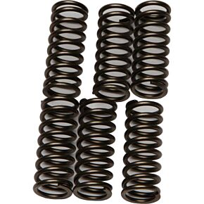 EBC Clutch Springs Csk196