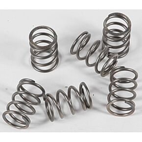 EBC Clutch Springs Csk197