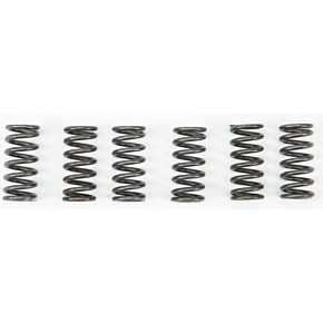 EBC Clutch Springs Csk2