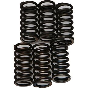EBC Clutch Springs Csk200